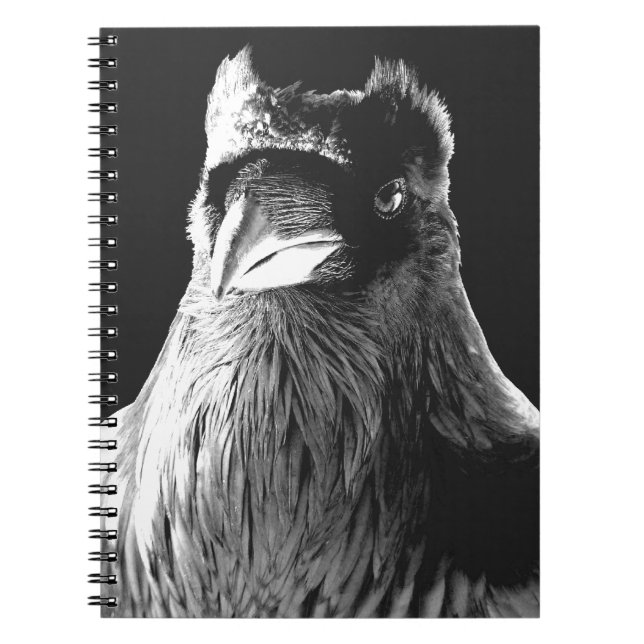 Raven Art Notebook Crow Art Journal Book Notizblock (Vorderseite)