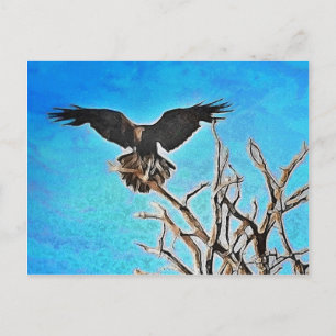 Raven-Baum Postkarte