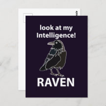 Raven Blick auf meine Intelligenz Raven
