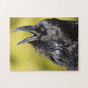 Raven Calling Puzzle