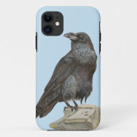 Raven