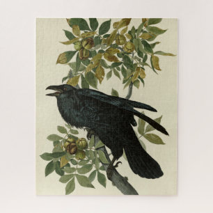 Raven (Common Raven) von Audubon Birds of America Puzzle