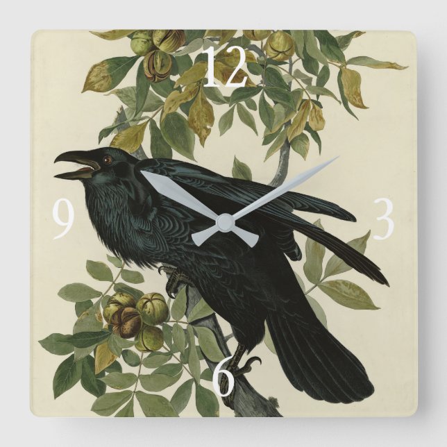 Raven (Common Raven) von Audubon Birds of America Quadratische Wanduhr (Vorderseite)