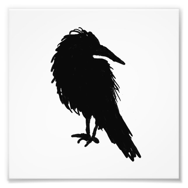 Raven Crow Black Bird Animal Art Fotodruck (Vorne)