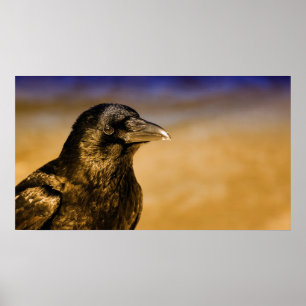 Raven Crow Gothic Fantasy Black Bird Nature Poster