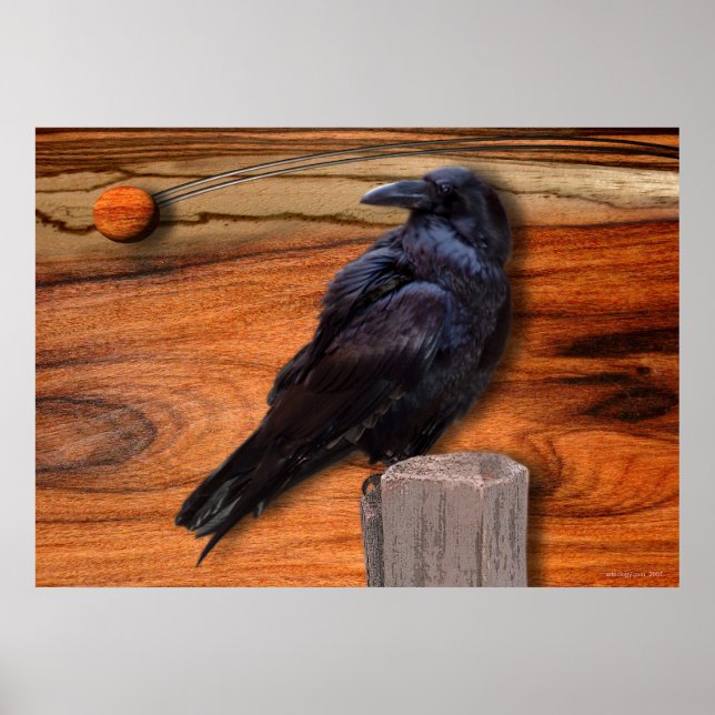 RAVEN ECLIPSE POSTER (Vorne)