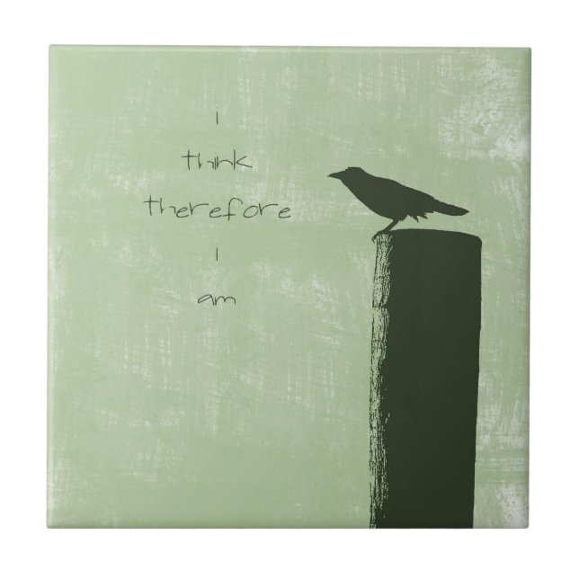 Raven Fliese (Vorderseite)