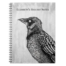 Raven Gothic Schwarz-weiß Horror Tinte Zeichnend N