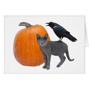Raven, graue Katze mit Kürbis Halloween-Karte