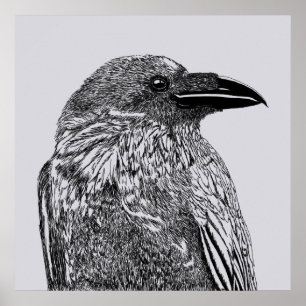 Raven Illustration Poster