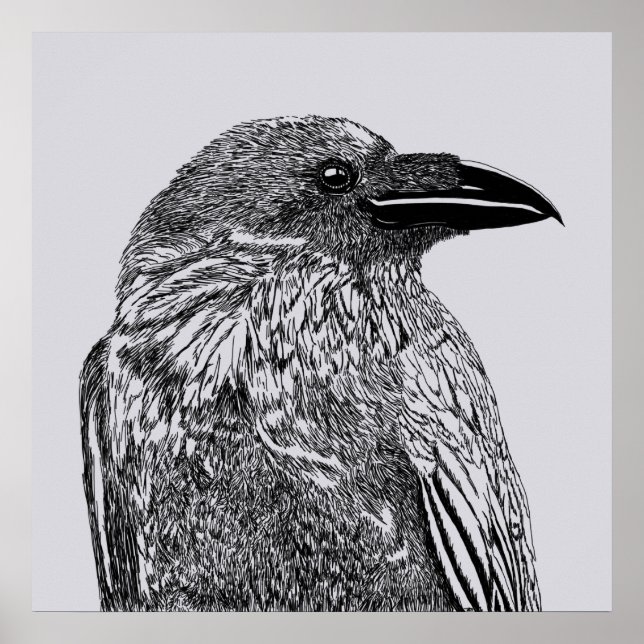 Raven Illustration Poster (Vorne)