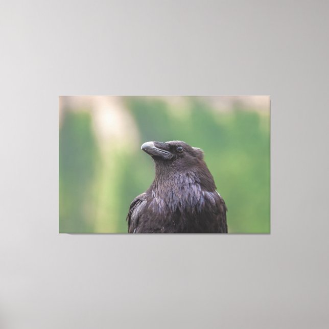 Raven Leinwanddruck (Vorderseite)