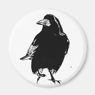 Raven Magnet