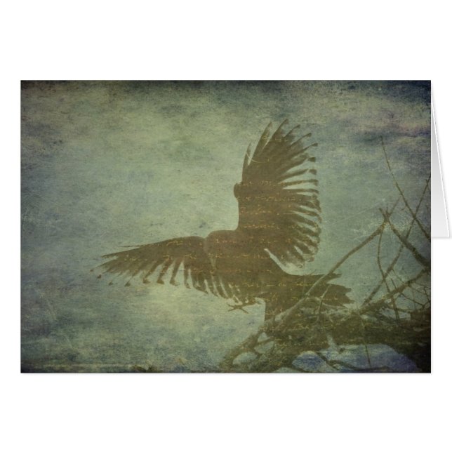 Raven of Poes Poesie (Vorderseite (Horizontal))