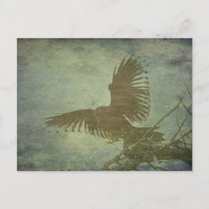 Raven of Poes Poesie Postkarte
