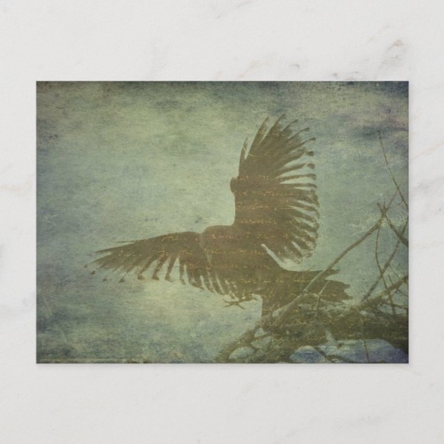 Raven of Poes Poesie Postkarte (Vorderseite)