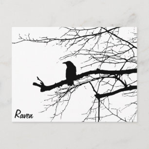 Raven on the Tree Postkarte