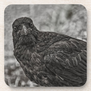 Raven P9239 Getränkeuntersetzer