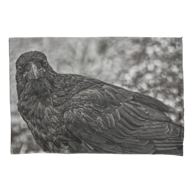 Raven P9239 Kissenbezug (Vorderseite-Links)
