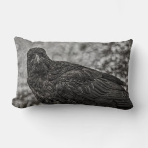 Raven P9239 Lendenkissen