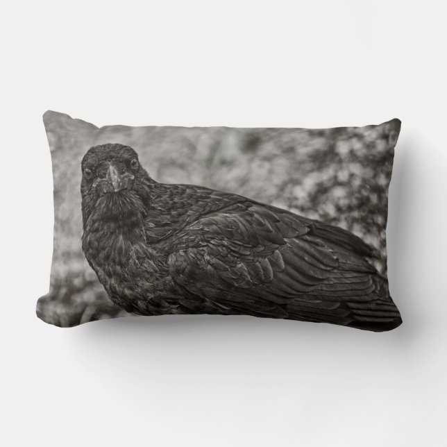 Raven P9239 Lendenkissen (Vorderseite)