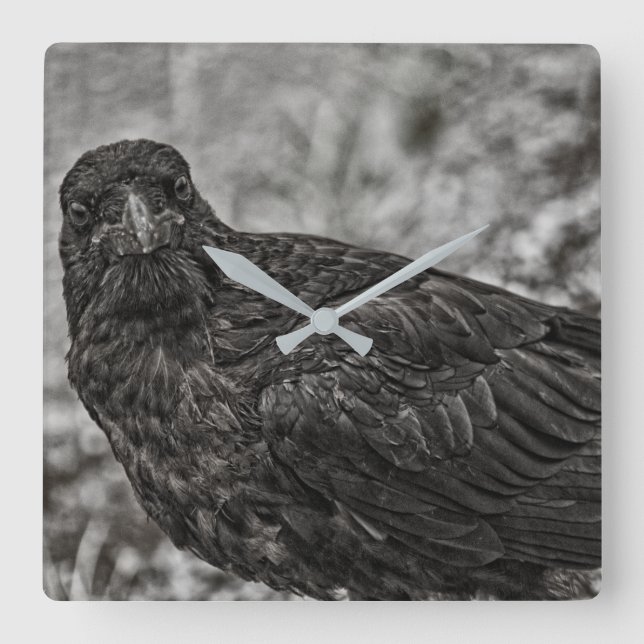 Raven P9239 Quadratische Wanduhr (Vorderseite)