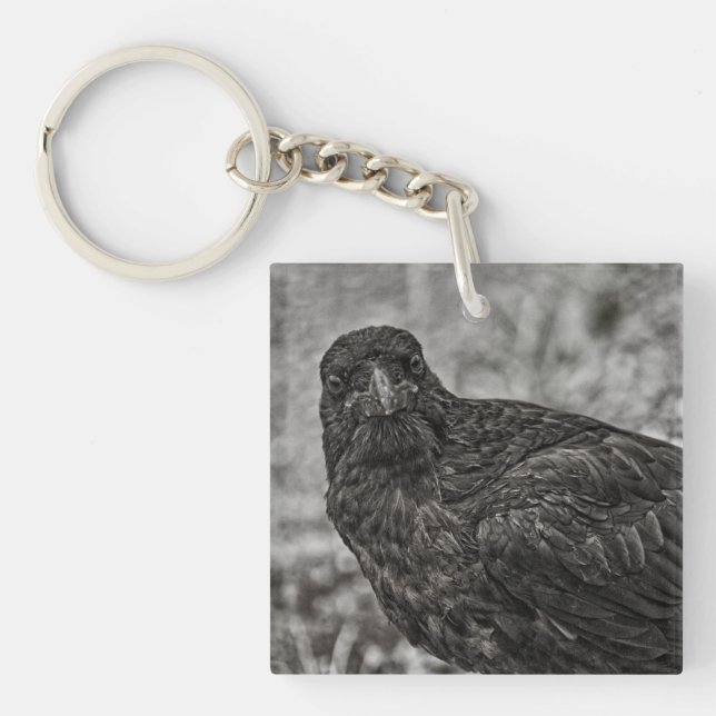 Raven P9239 Schlüsselanhänger (Vorderseite)