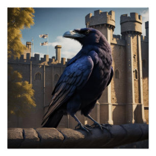 Raven Poster