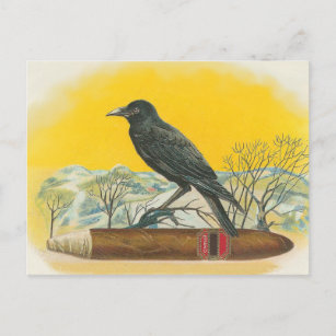 Raven Postkarte