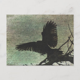 Raven Postkarte