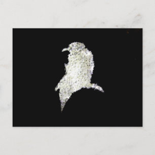 Raven Postkarte