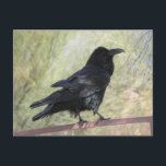Raven Postkarte<br><div class="desc">Ein Foto eines Raben auf einem Zaun</div>
