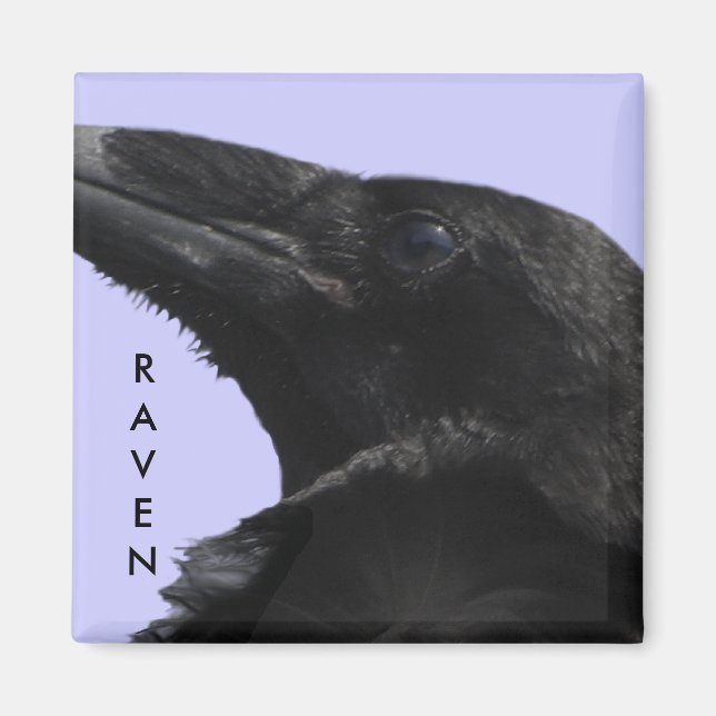 Raven Profile Magnet (Vorne)