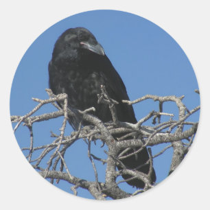 Raven Runder Aufkleber