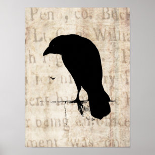 Raven Silhouette - Vintag Retro Ravens & Crows Poster
