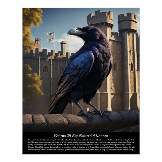 Raven Tower of London Poster (Vorderseite)