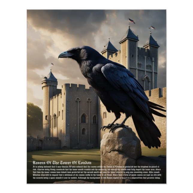Raven Tower of London Poster (Vorderseite)
