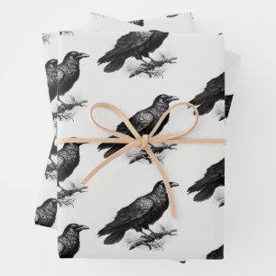 Raven Vintag Illustration Geschenkpapier Set