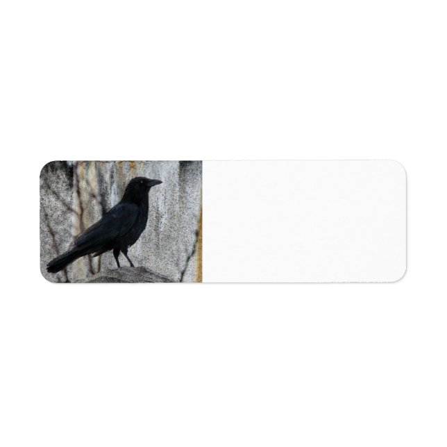 Raven Warten (Vorne)