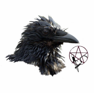 Raven Wiccan Pentagramm (skulpiert) Magnet Fotoskulptur Magnet