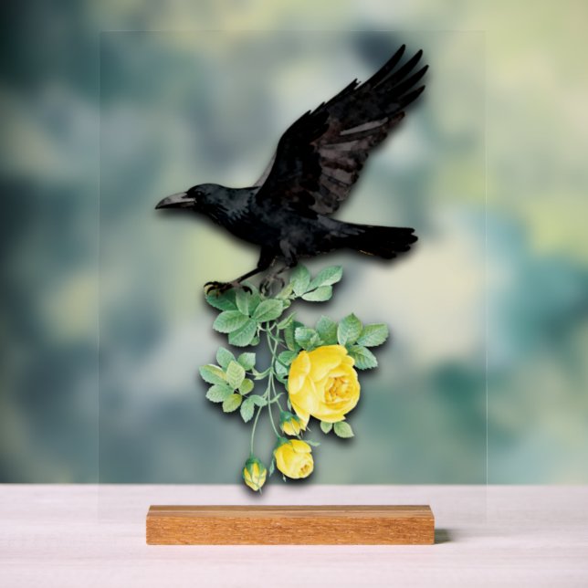 Raven with Yellow Rose Acrylschild (Neutral)