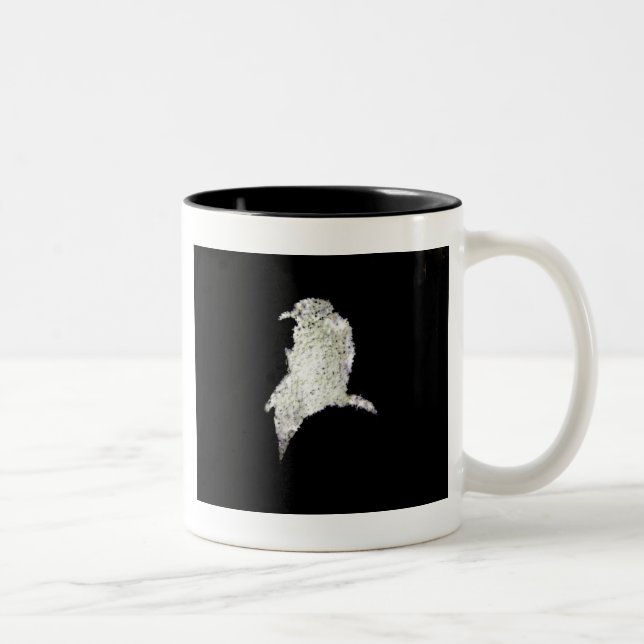 Raven Zweifarbige Tasse (Rechts)