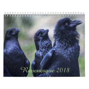 Ravenesque magisches 18-monatiger Kalender Vogels