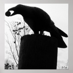 Raven's Bite, S Cyr Poster