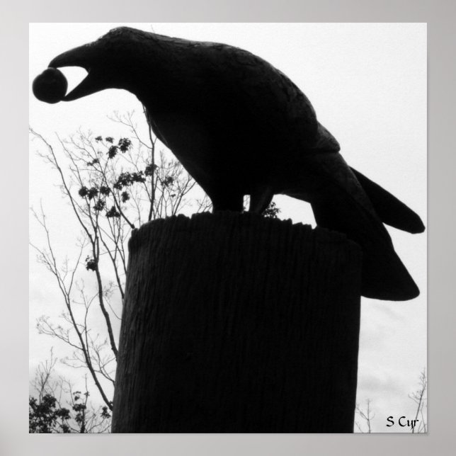 Raven's Bite, S Cyr Poster (Vorne)