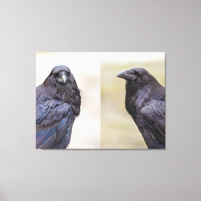 Ravens Leinwanddruck (Vorderseite)