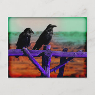 Ravens Postkarte