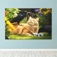 Ravens spielen mit Katzen-Federn