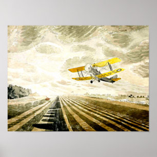 Ravilious, berühmtes Bild Tigermoth Poster