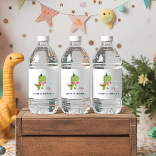 RAWR-Einige Dinosaurier Winter zum Geburtstag Wasserflaschenetikett